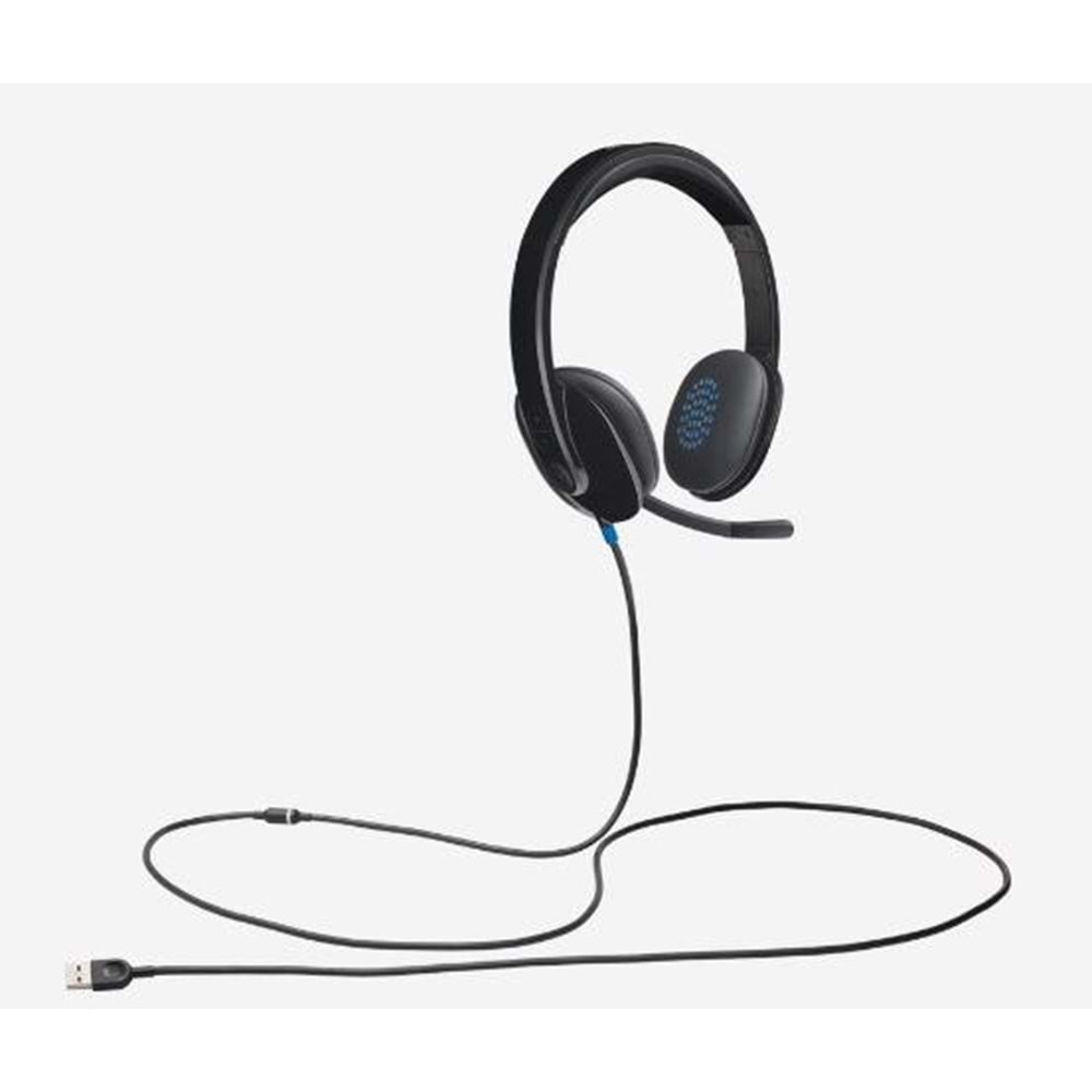LOGITECH H540 USB SİYAH KULAKLIK 981-000480 