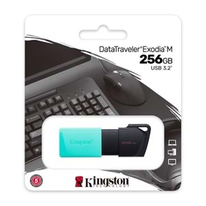 256 GB KINGSTON EXODIA M USB BELLEK 3.2 DT DTXM/256GB 